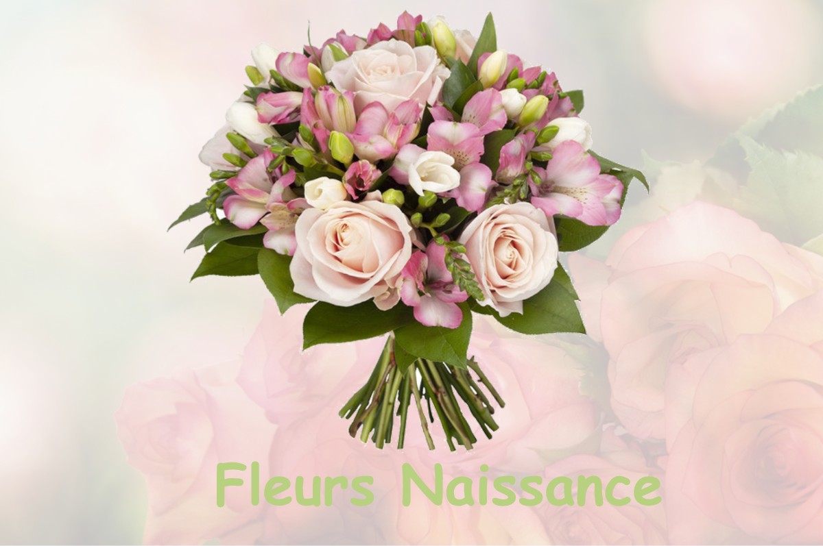 fleurs naissance SORANS-LES-BREUREY
