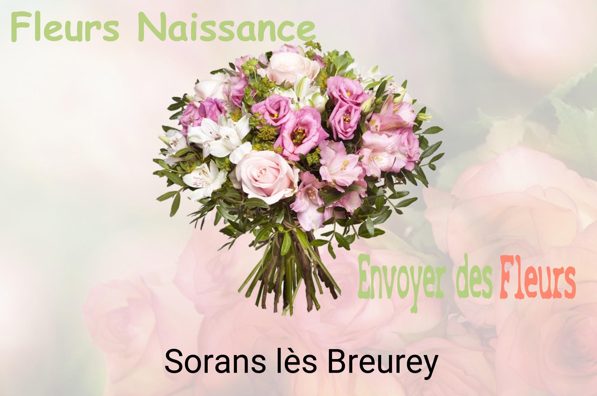 Bouquet de fleurs de naissance livré à Sorans-lès-Breurey